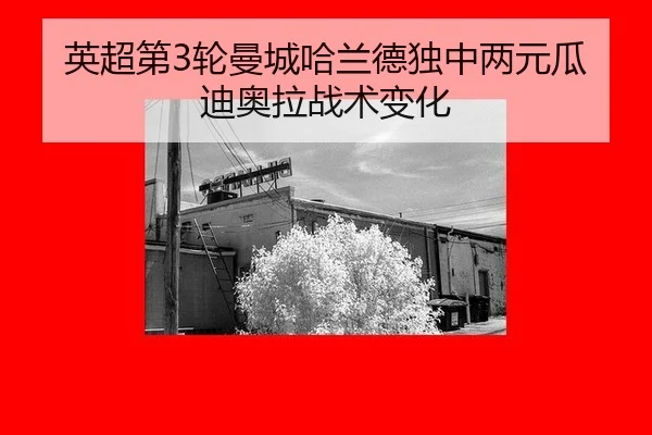 ying-chao-di-lun-man-cheng-ha-lan-de-du-zhong-liang-yuan-gua-di-ao-la-zhan-shu-bian-hua-1-969.jpg
